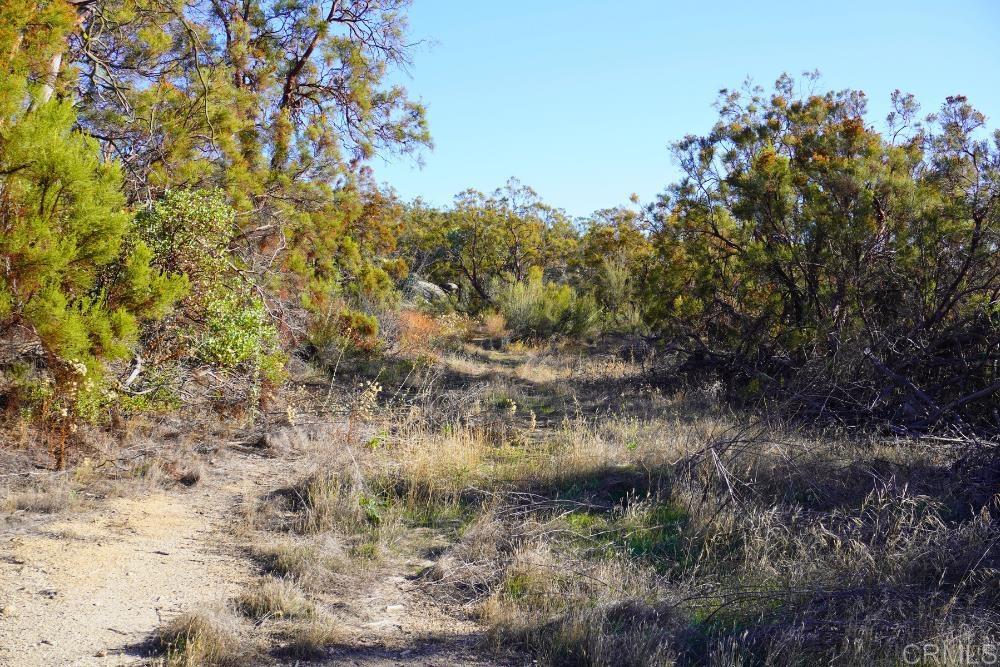 MLS #PTP2507282 image #12