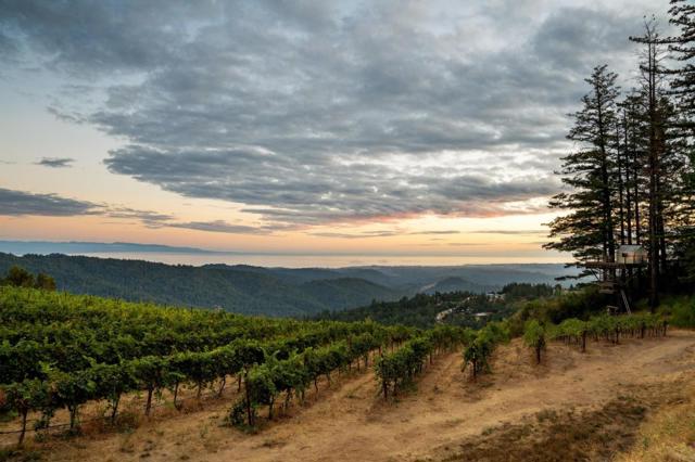 25200 Loma Prieta Avenue, Los Gatos CA: https://media.crmls.org/mediaz/a24a133f-9809-4b51-93c2-9c58d521c60c.jpg