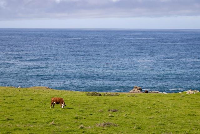 37305 Highway 1, Carmel CA: https://media.crmls.org/mediaz/a24bd91e-ac9a-4ac3-b472-5cc617b11e62.jpg