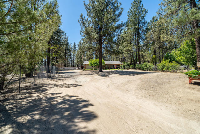 59341 Courtesy Drive, Mountain Center CA: https://media.crmls.org/mediaz/a24d46c6-7436-4566-ae6c-7b3a0a3d5847.jpg