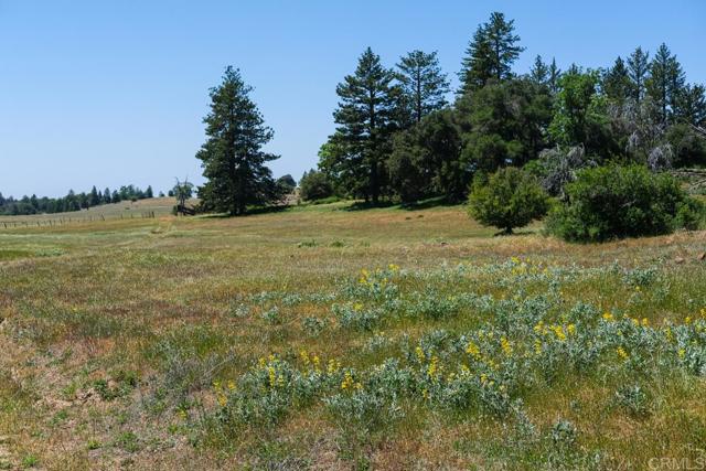 Image 18 of 31 For 3510 Deer Lake Park Road