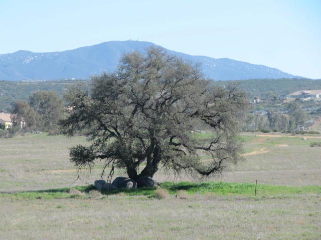 Image 13 of 30 For 0 Lynch Lane