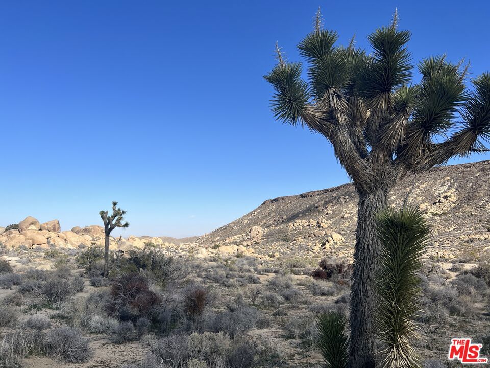 A2679900 3Fcb 4492 Bb58 D2B9C2F6E492 2900 Boulder View Drive, Pioneertown, Ca 92268 &Lt;Span Style='BackgroundColor:transparent;Padding:0Px;'&Gt; &Lt;Small&Gt; &Lt;I&Gt; &Lt;/I&Gt; &Lt;/Small&Gt;&Lt;/Span&Gt;