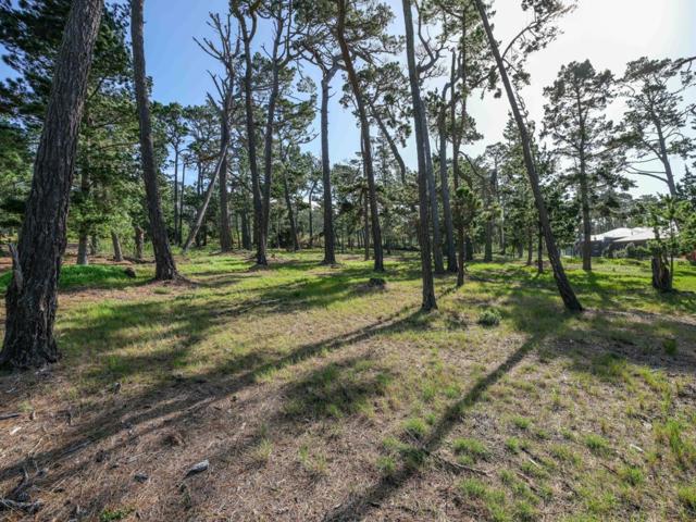 25 Poppy Lane, Pebble Beach CA: https://media.crmls.org/mediaz/a27914e7-602d-4b57-80bc-0c182d2fe435.jpg