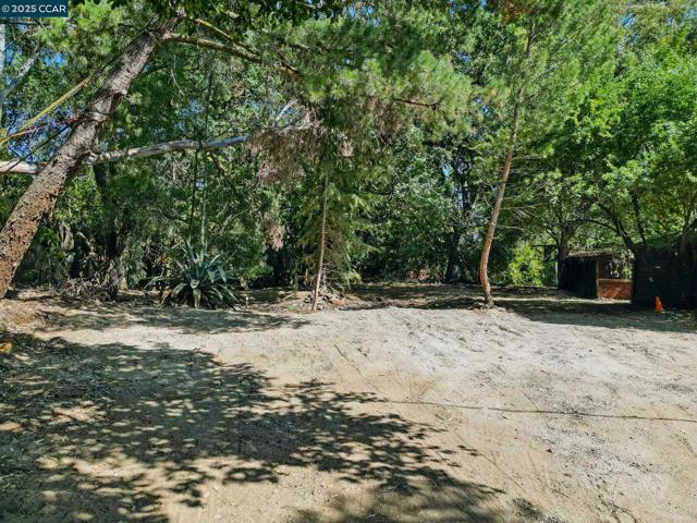 1491 Boulevard Way, Walnut Creek CA: https://media.crmls.org/mediaz/a2952c91-125e-48b3-a6fd-16555ff40b03.jpg