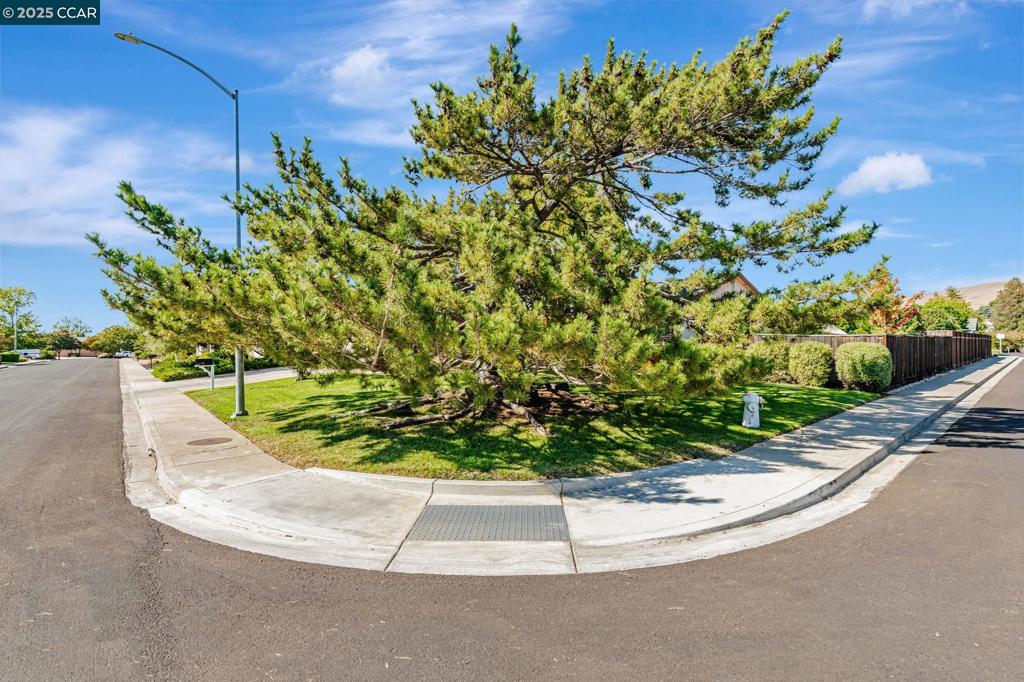 https://media.crmls.org/mediaz/a29e9c8d-397f-46b9-b213-5de8ae99921e.jpg?preset=X-Large