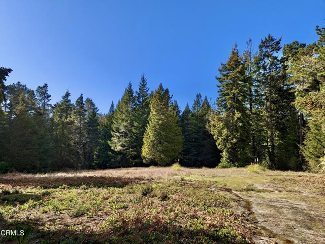 Detail Gallery Image 17 of 18 For 43535 Comptche Ukiah Rd, Mendocino,  CA 95460 - – Beds | – Baths