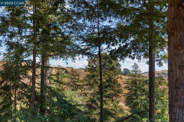 140 Warfield Drive, Moraga CA: https://media.crmls.org/mediaz/a2a61cda-a8c5-48ed-adef-e912e3dcce9c.jpg