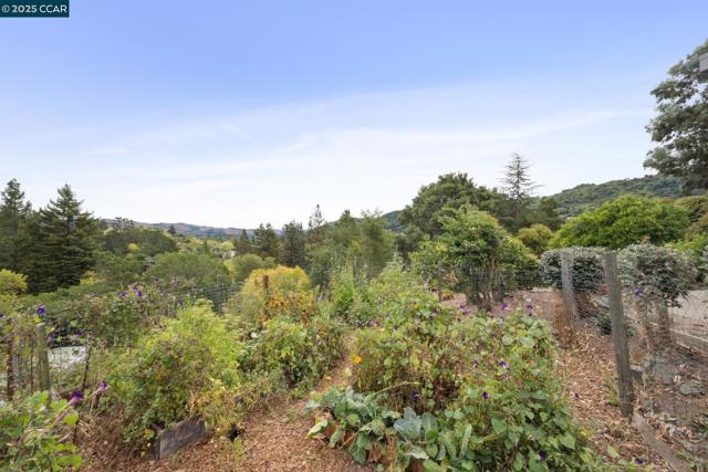 12 La Cresta Rd, Orinda CA: https://media.crmls.org/mediaz/a2a8e8fb-fa4a-486f-be19-e98b33c02d7d.jpg