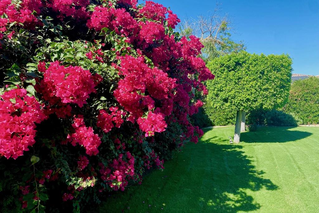 MLS #219138857PS image #51