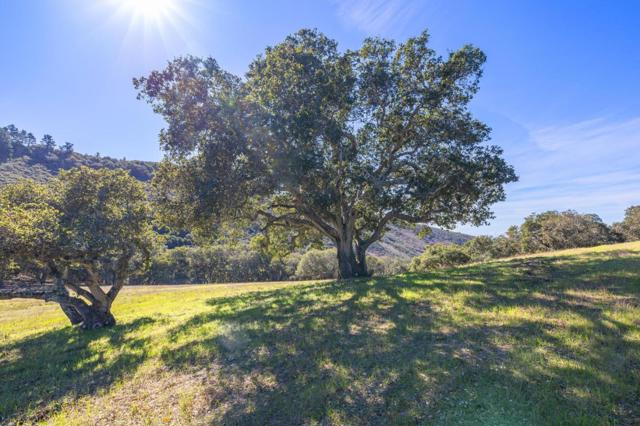 8425 Alta Tierra (Lot 66), Carmel CA: https://media.crmls.org/mediaz/a2bb4f13-20a3-42a4-a601-48e867427e66.jpg