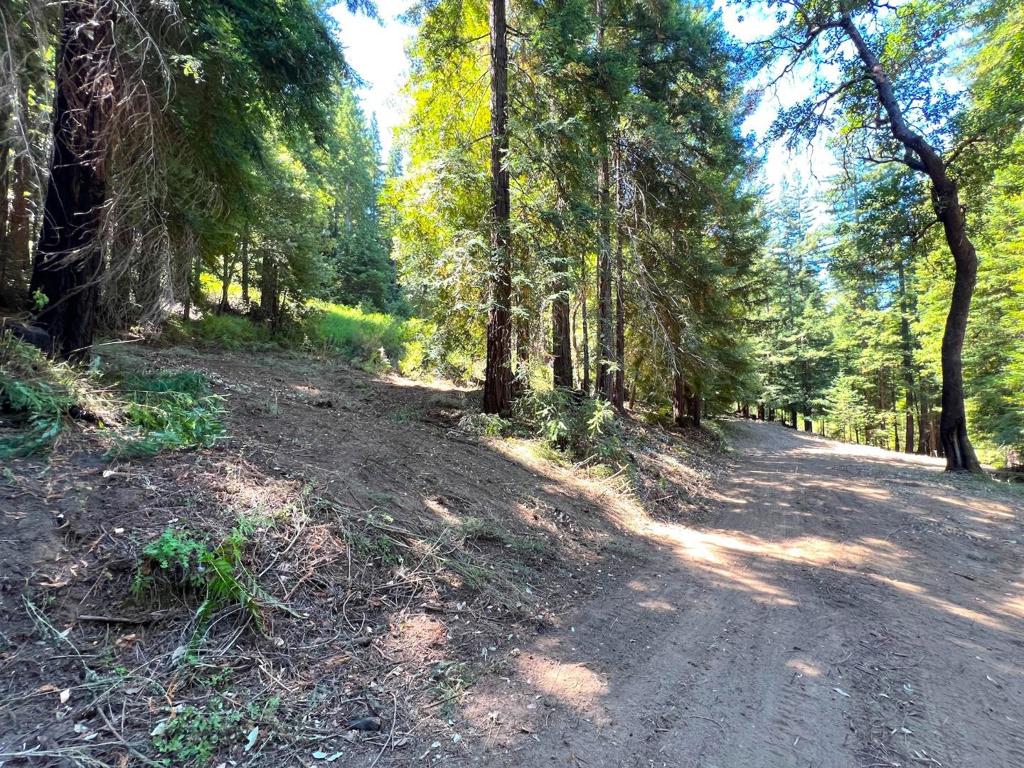 MLS #ML81973209 image #15