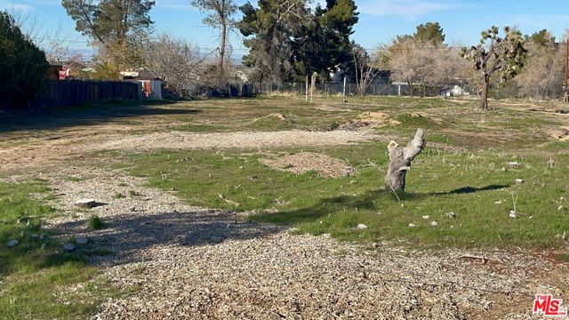 12399 E AVE V-12, Pearblossom CA: https://media.crmls.org/mediaz/a2c773bb-3dca-4a9d-bcfc-c397382d2b4b.jpg