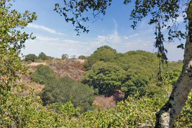 1501 De Anza Boulevard, San Mateo CA: https://media.crmls.org/mediaz/a2d0b915-eb49-4a1b-8226-6b499188f4d0.jpg