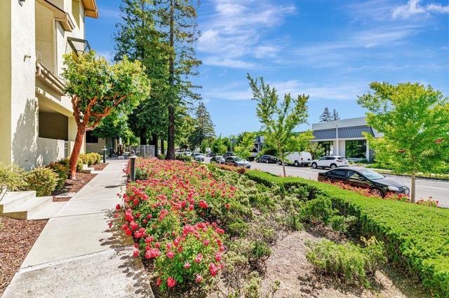 1113 Trinity Lane, Palo Alto CA: https://media.crmls.org/mediaz/a2ddbc7d-89f1-499d-b948-b41f320291bb.jpg