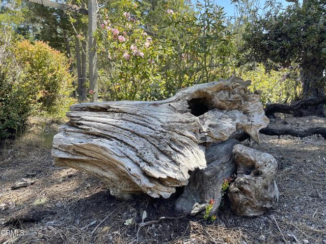 29331 Albion Ridge Road, Albion CA: https://media.crmls.org/mediaz/a2e6ad85-f7c7-4098-8b36-851eadaefc52.jpg