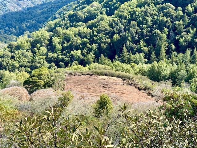 7175 Redwood Retreat Road, Gilroy CA: https://media.crmls.org/mediaz/a2f2d711-e257-4496-a5f7-7de501c0ab14.jpg