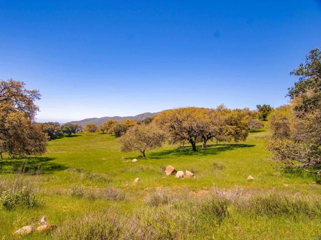 Detail Gallery Image 33 of 42 For 342 Acres Mesa Grande Rd, Santa Ysabel,  CA 92070 - – Beds | – Baths