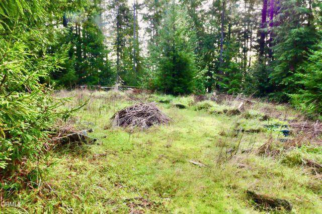 Detail Gallery Image 44 of 48 For 40401 Little River-Airport Rd, Little River_1,  CA 95456 - 3 Beds | 2 Baths