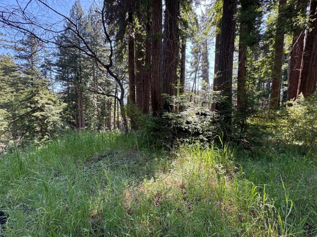 Image 4 of 5 For 0 Summit Drive