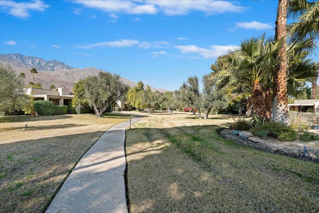 MLS #219134774DA image #32