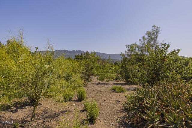 Detail Gallery Image 3 of 13 For 1 Henderson Rd, Ojai,  CA 93023 - – Beds | – Baths