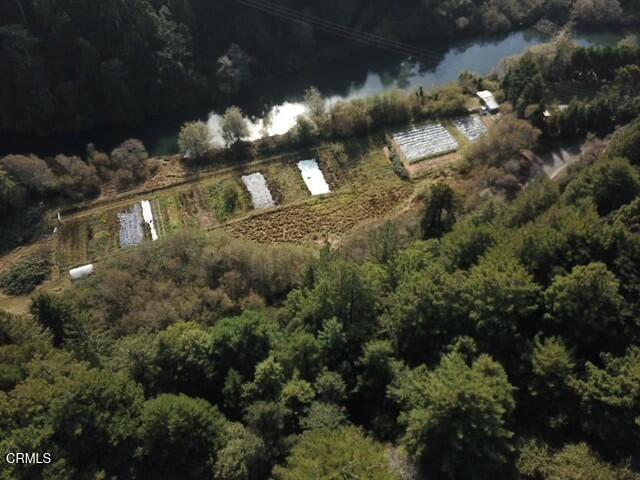 596 S Sanderson Way, Fort Bragg CA: https://media.crmls.org/mediaz/a3279b8c-3845-4585-a58c-2bc65a7c060c.jpg
