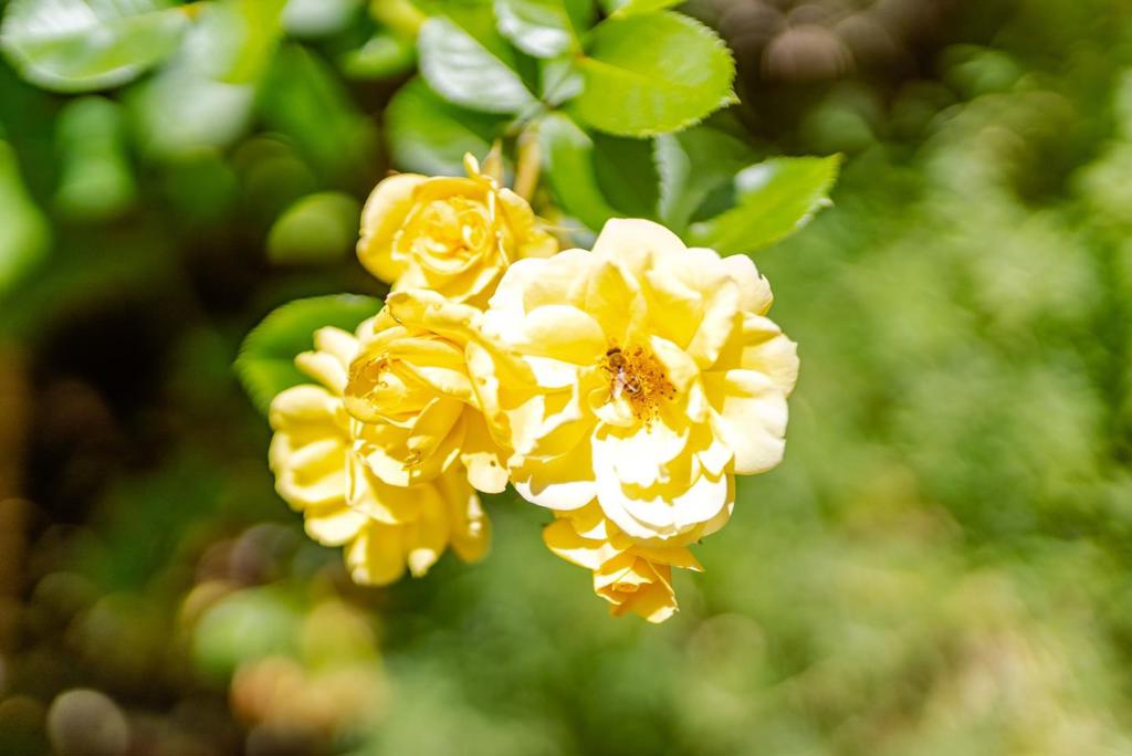 https://media.crmls.org/mediaz/a32c0f28-c438-42f5-b11c-1655b139fd29.jpg?preset=X-Large