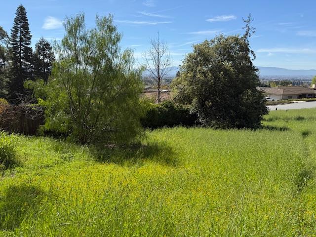 0 El Grande Drive, San Jose CA: https://media.crmls.org/mediaz/a3347b9c-73f4-4596-8786-9653f8336c1d.jpg