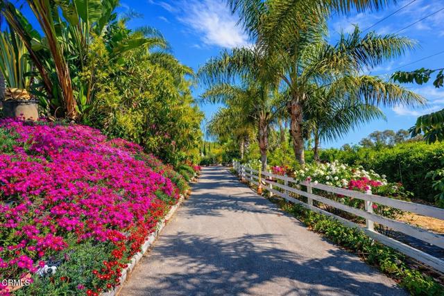 Front Image Thumbnail for CRV1-35413