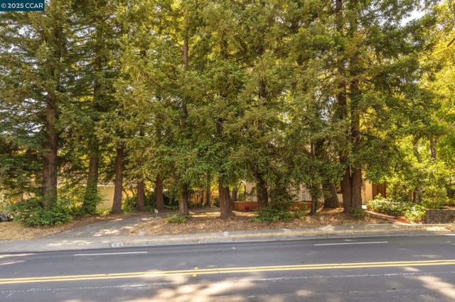 1019 Sir Francis Drake Blvd, San Anselmo CA: https://media.crmls.org/mediaz/a337483d-c6a3-4cab-8685-7c7327e53f81.jpg