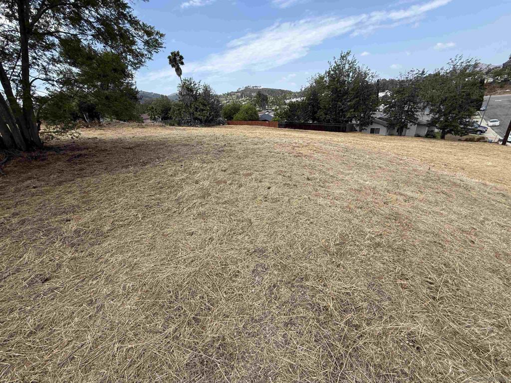 1565 Montiel Rd - photo 5