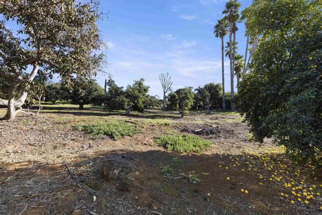 Detail Gallery Image 56 of 61 For 1520 via Rancho Pkwy, Escondido,  CA 92029 - 3 Beds | 3 Baths