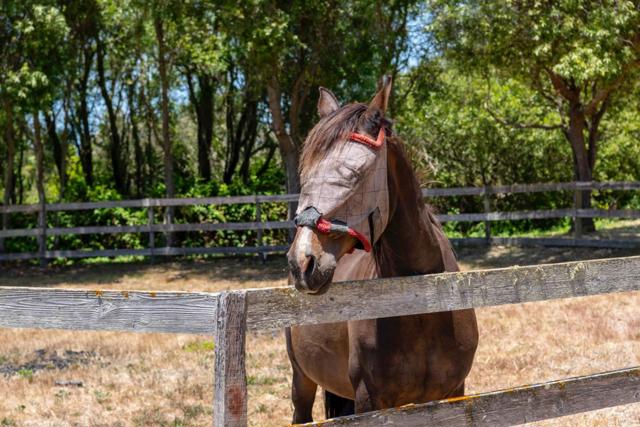 515 Bean Hollow Road, Pescadero CA: https://media.crmls.org/mediaz/a351bd23-d6bf-464d-be03-5f27e76ee6d9.jpg