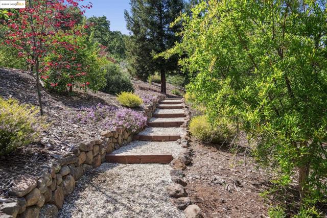 1037 Silverhill Dr, Lafayette CA: https://media.crmls.org/mediaz/a3555842-ad37-4c30-a795-53dbcabe2cab.jpg