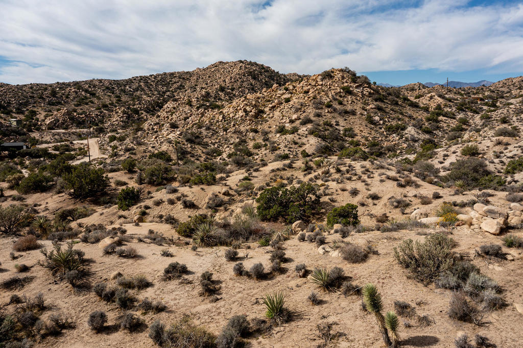 MLS #219138040PS image #4