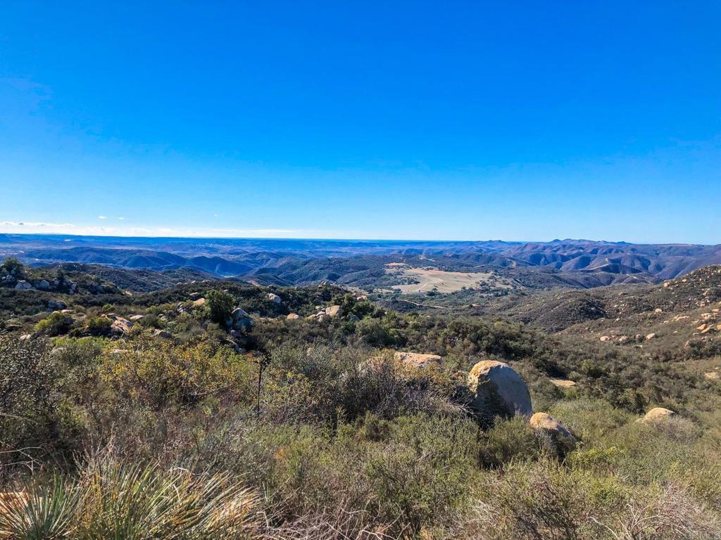 MLS #NDP2400534 image #5