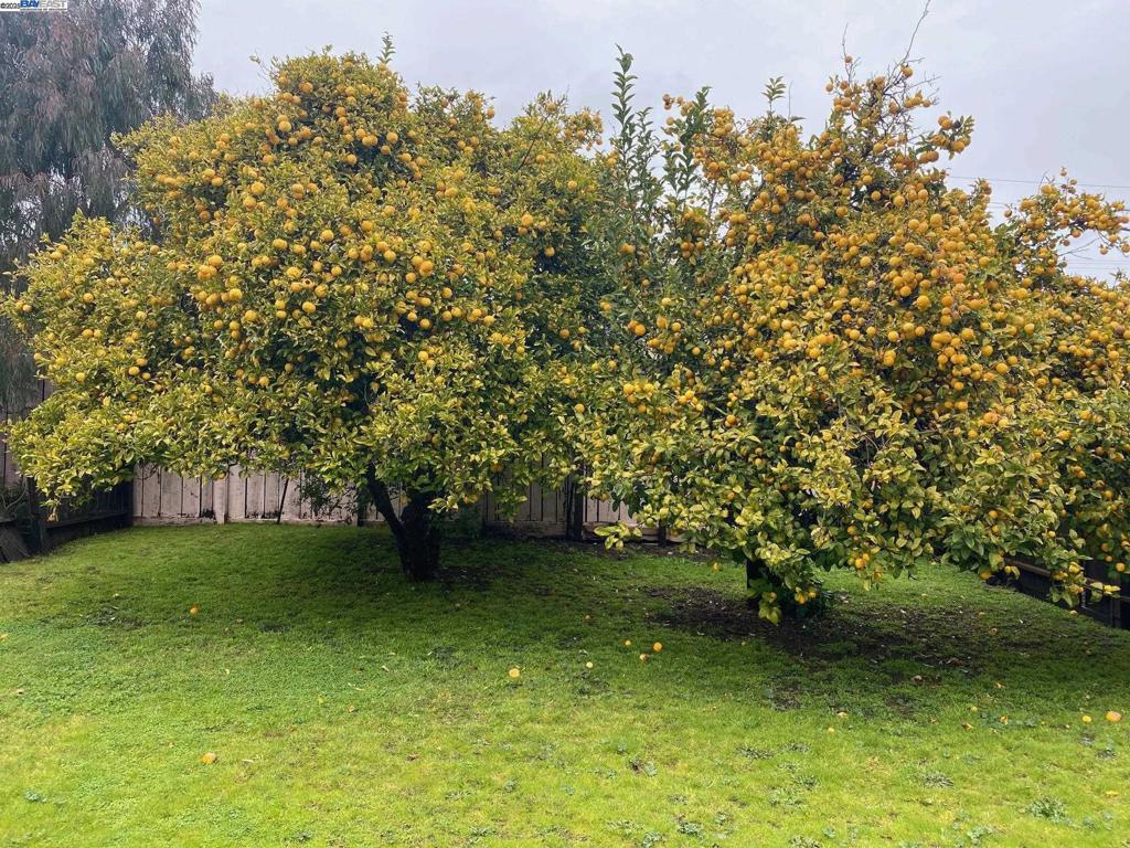 https://media.crmls.org/mediaz/a3853f26-5dfb-4efc-ab3d-076cf63a2d45.jpg?preset=X-Large