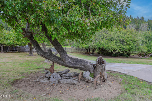 Detail Gallery Image 36 of 74 For 31600 Little Valley Rd, Fort Bragg,  CA 95437 - 3 Beds | 2 Baths