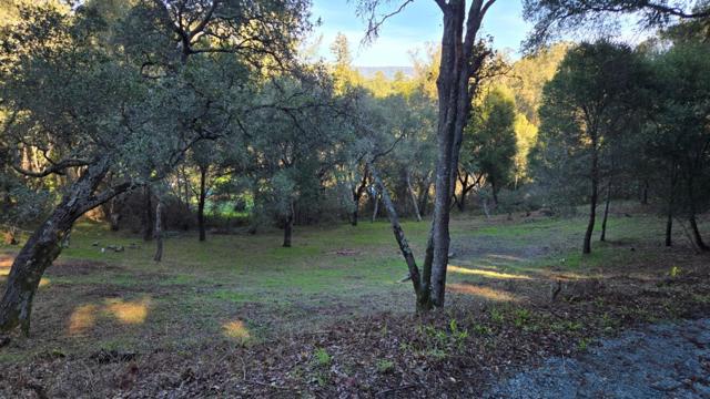 245 Gillette Road, Watsonville CA: https://media.crmls.org/mediaz/a3a7a1a4-2914-4494-95f4-ecf91ff4d9e0.jpg