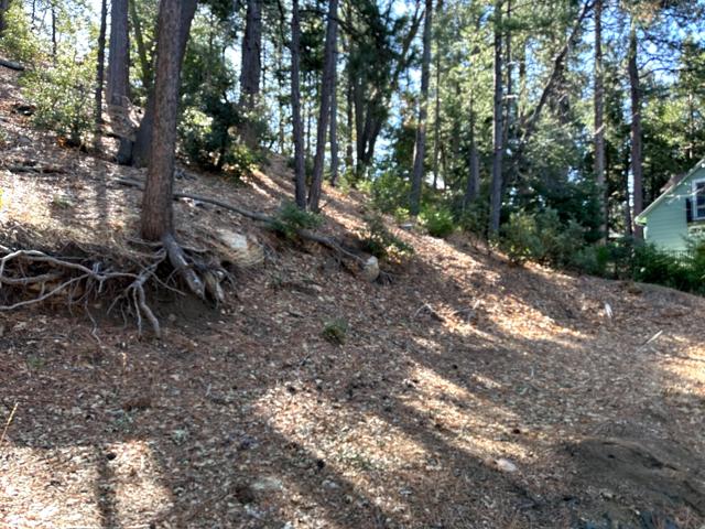 0 Green Craig, Idyllwild CA: https://media.crmls.org/mediaz/a3c39156-23c3-43a2-b8ae-9c1078764462.jpg