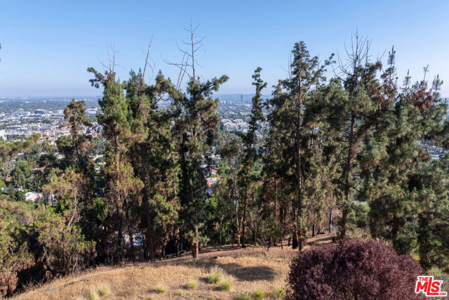Image 49 of 75 For 1830 Sierra Bonita Avenue