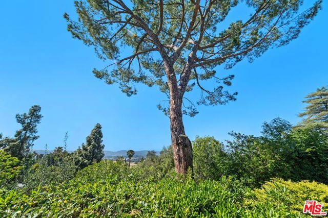 20553 Califa Street, Woodland Hills CA: https://media.crmls.org/mediaz/a3cf1234-0ebe-41b1-885c-d2ec740f5852.jpg
