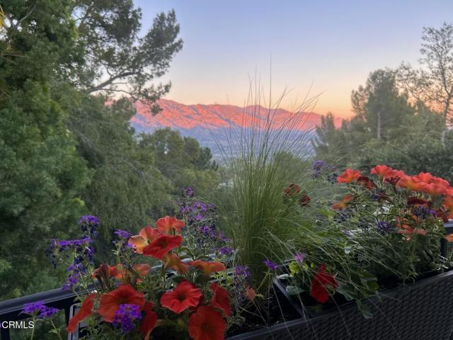 Detail Gallery Image 39 of 58 For 1336 Sugar Loaf Dr, La Canada Flintridge,  CA 91011 - 5 Beds | 4/1 Baths