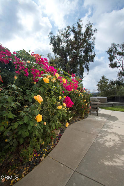 Detail Gallery Image 45 of 47 For 3719 N Hollingsworth Rd, Altadena,  CA 91001 - 4 Beds | 2/1 Baths