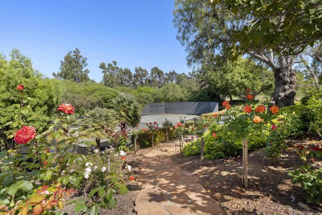 17535 Los Morros, Rancho Santa Fe CA: https://media.crmls.org/mediaz/a3deb629-5855-4310-ad00-482dec1330b2.jpg