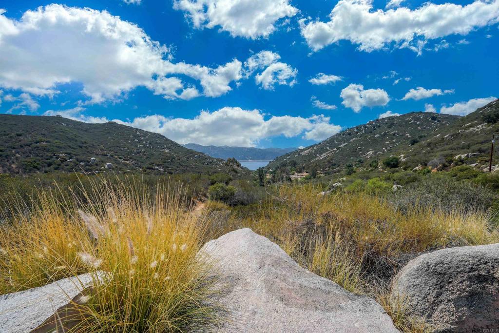 MLS #NDP2507012 image #8