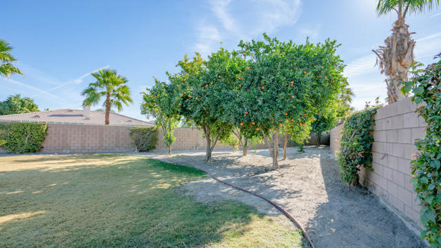 79925 Corte Calero, La Quinta CA: https://media.crmls.org/mediaz/a3e8f084-43b6-4e0d-97f3-fa284e1b4324.jpg