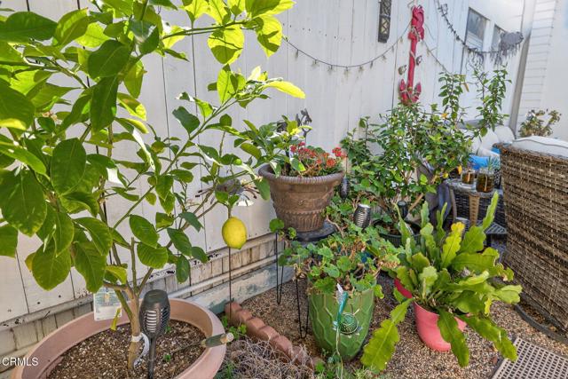 Detail Gallery Image 53 of 78 For 31 W Delta Gr, Port Hueneme,  CA 93041 - 3 Beds | 1/1 Baths