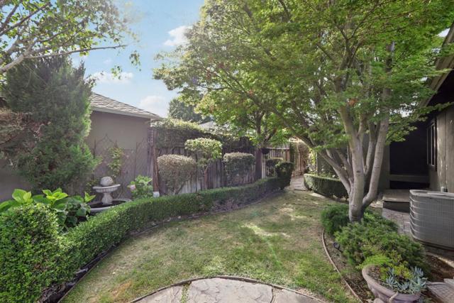 1206 Malone Road, San Jose CA: https://media.crmls.org/mediaz/a3f079d2-cd7d-41c1-b39f-ba3dfb989ed5.jpg